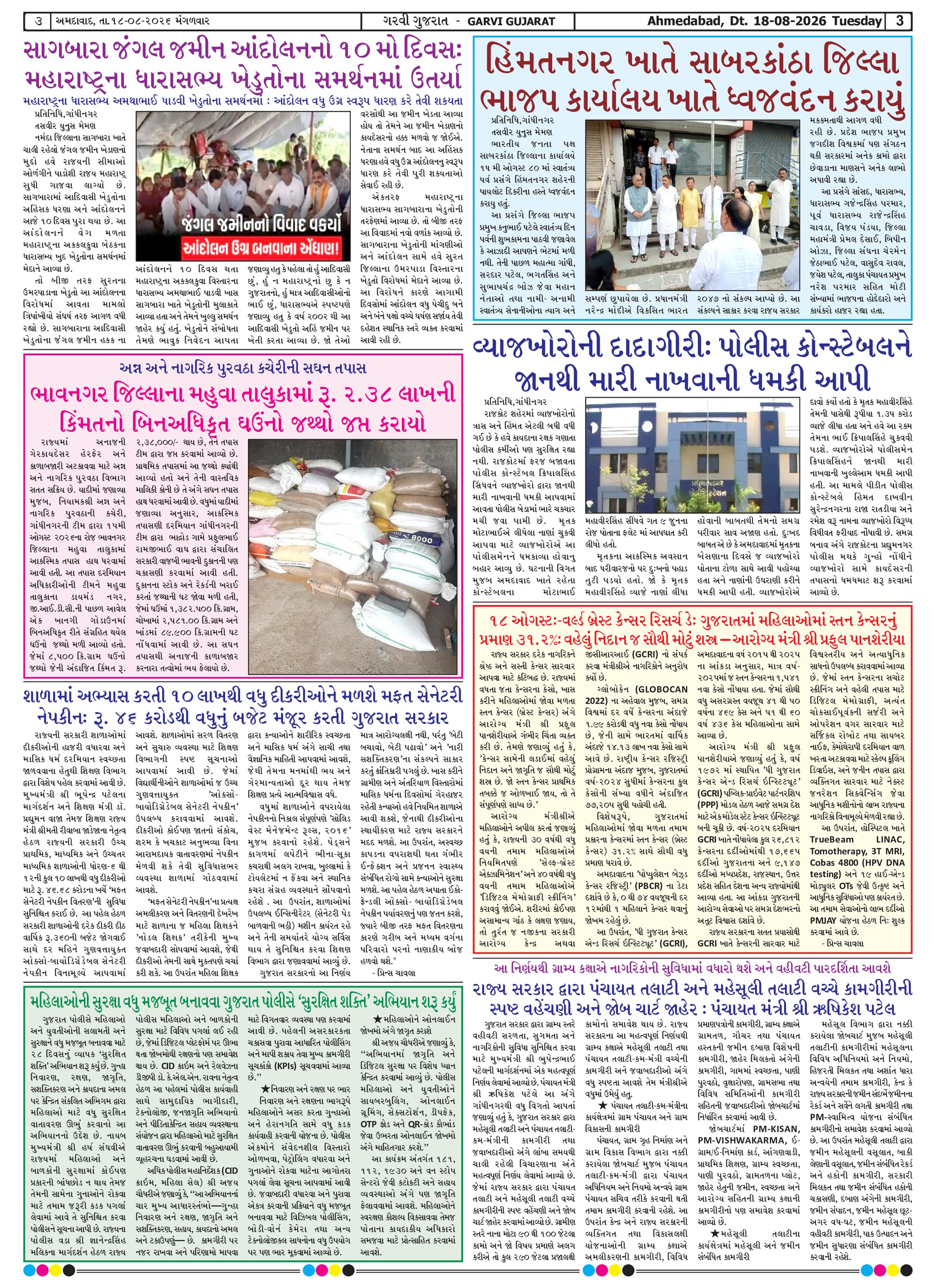 Page 3